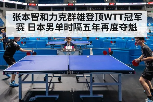 张本智和力克群雄登顶WTT冠军赛 日本男单时隔五年再度夺魁